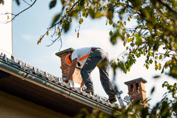 Best Storm Damage Roof Repair  in Kenosha, WI