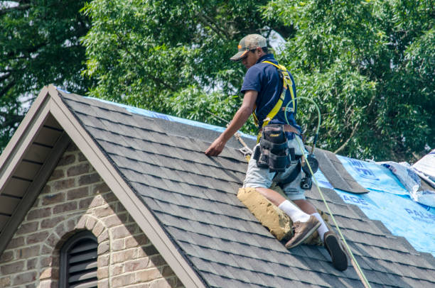 Best Storm Damage Roof Repair  in Kenosha, WI